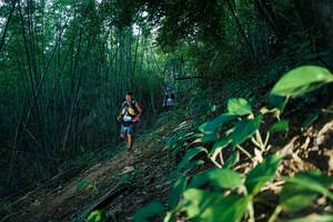 BIB: 
                            <button type="button" onclick="openModal(28124488)" class="btn btn-primary btn-sm float-right btn-popup" data-toggle="modal" data-target=".modal-high-quality">
                        <i class="fas fa-shopping-cart"></i> Add to Cart
                    </button>
                                            <button type="button" onclick="isThisMe(28124488, true)" class="btn btn-success btn-sm float-right btn-popup btn-isme hidden" data-toggle="tooltip" data-placement="bottom" title="นี่คือรูปของคุณใช่ไหม คลิกที่นี่เพื่อเอาเข้าอัลบั้ม">
                        <i class="fas fa-plus"></i> Add to album
                    </button>
                    <button type="button" onclick="isThisMe(28124488, false)" class="btn btn-warning btn-sm float-right btn-popup btn-isnotme hidden">
                        <i class="fas fa-ban"></i> Remove from album
                    </button>